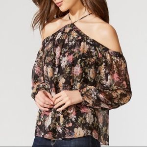 Bailey 44 Women’s Off The Shoulder Sheer Blouse S